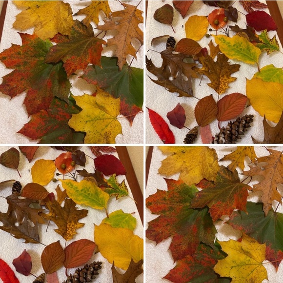 ❤️We're in Boise, 🤍comment if you're from Idaho!💙What a beautiful state!🥰 - Picture 7 of 14